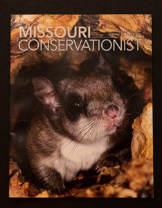 Missouri Conservationist cover by Noppadol Paothong